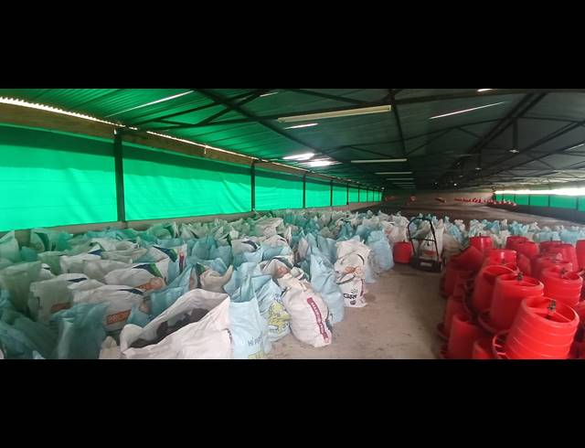 FARM TO LET IN NELSONIA